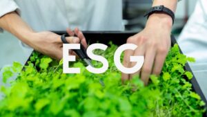 Mão cortando grama com dizeres de ESG