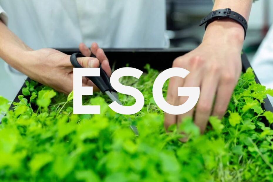 Mão cortando grama com dizeres de ESG