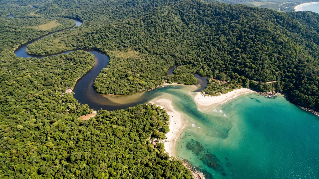 A Praia de Itaguaré, mostrando o paraíso intocado de Mata Atlântica.
